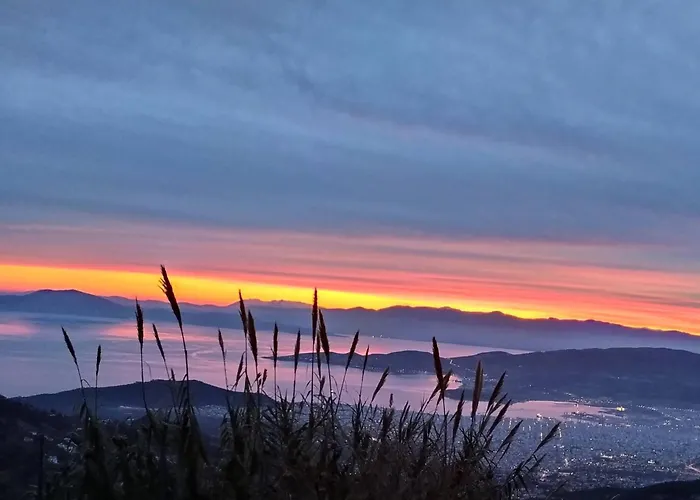 αλώνια * Makrinítsa